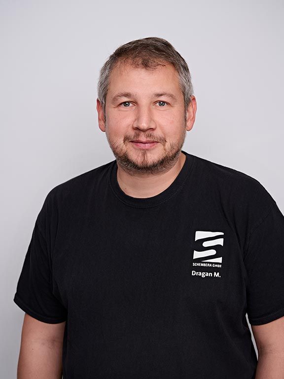 Portrait Dragan Mikulic